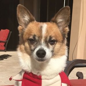 Meet your Posher, Joice